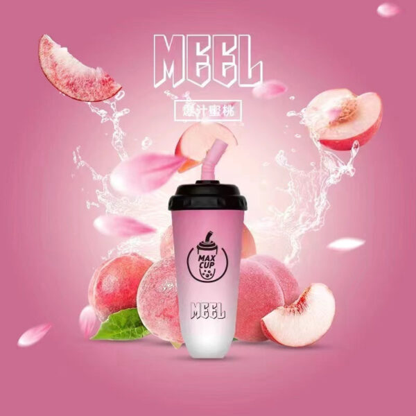 【MEEL MILK TEA CUP 奶茶杯】多口味選擇拋棄式，6000口電子煙 一次性可充電拋棄式｜美滋滋糖果屋