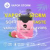 【VAPOR STORM風暴拋棄式】 一次性電子菸 可充電7500口抛棄式｜美滋滋糖果屋