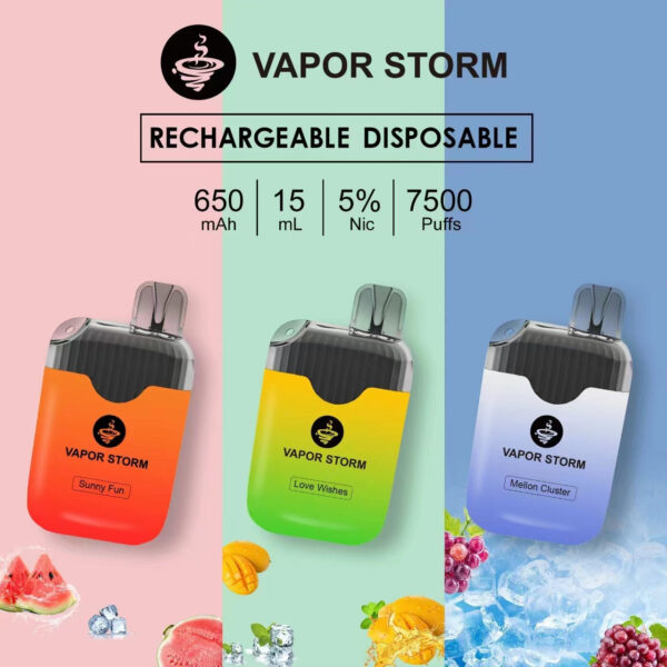 【VAPOR STORM風暴拋棄式】 一次性電子菸 可充電7500口抛棄式｜美滋滋糖果屋