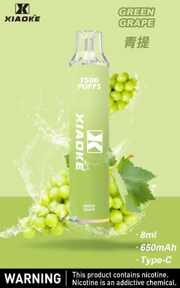 【XIAOKE梟客拋棄式】 新款一次性發光電子煙 多種口味電子霧化棒｜美滋滋糖果屋