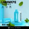 【LANA 16000口】一次性電子霧化器｜多達23種風味｜持久耐抽更省心｜美滋滋糖果屋