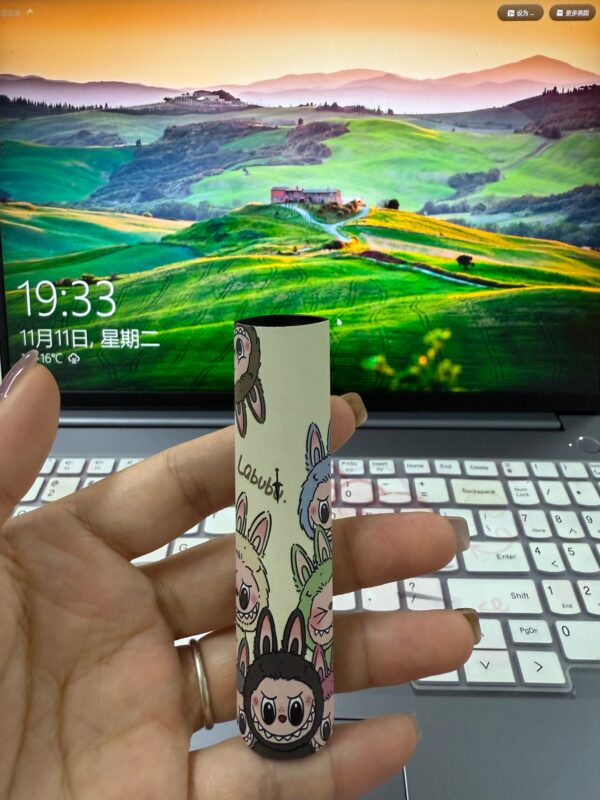 【HEAT喜貝限定聯名款】Labubu拉布布電子煙主機-多種卡通圖案選擇-通用一代設備｜美滋滋糖果屋