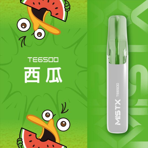 【MIST X 鴨嘴獸拋棄式】一次性米斯特鴨嘴獸6500口電子煙｜美滋滋糖果屋